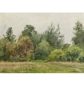 Яковлєв  Б."У лісі 1954р."