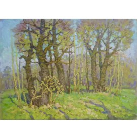 Рубан Г. "Лісовий пейзаж"