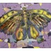 Klementyev Yu. "The Moth"