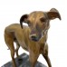 Sculpture "Greyhound"