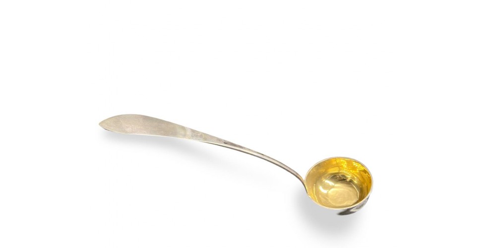 Срібний ополоник 