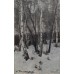 "Birches in the snow"