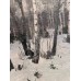 "Birches in the snow" "Birches in the snow"